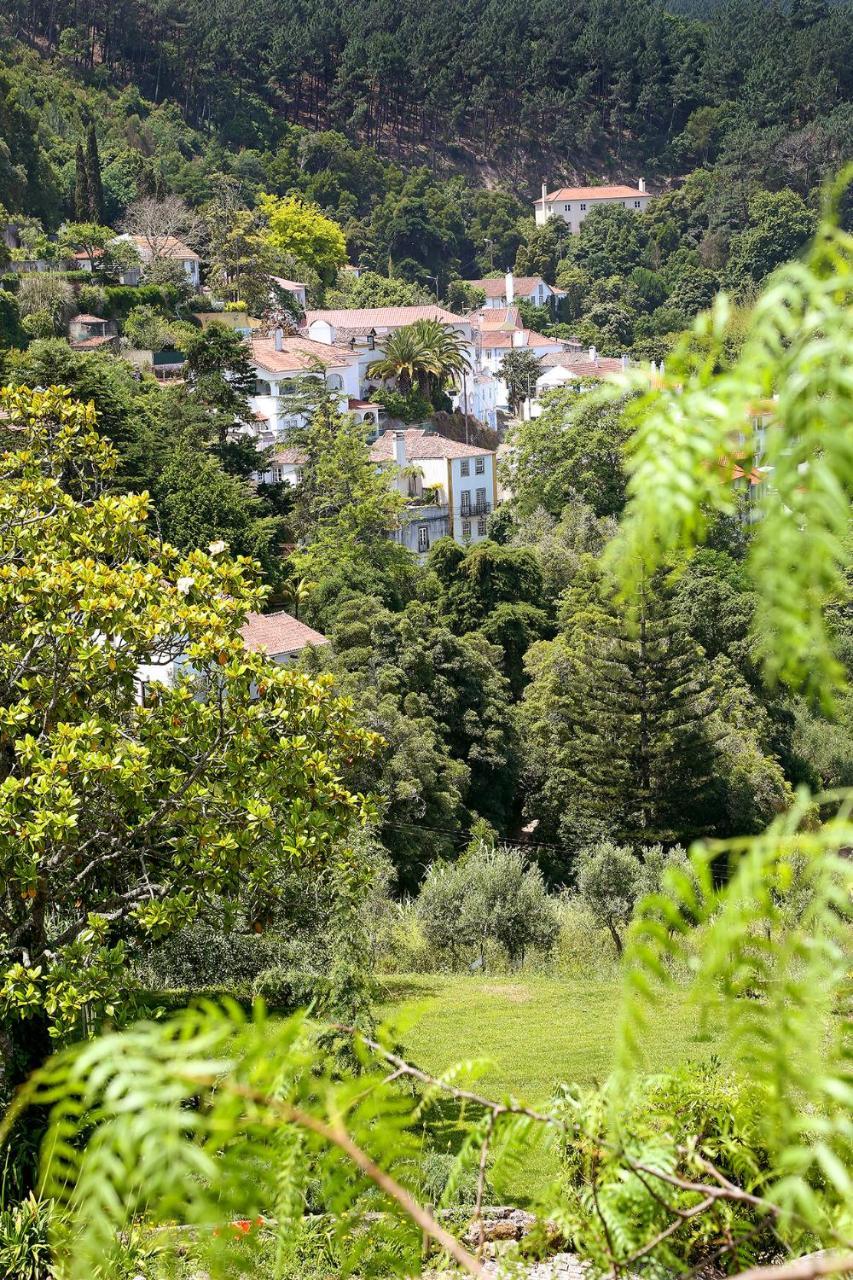 Apartment Eugaria By Lost Lisbon Sintra